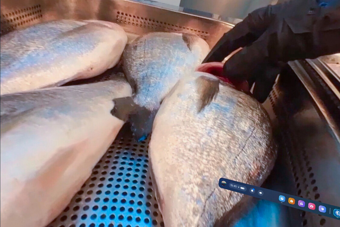 Zubereitung von Fisch durch die Sicht der VR-Brille.