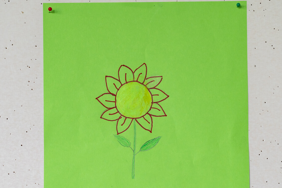 das bild auf einem grünen blatt papier zeigt eine blume